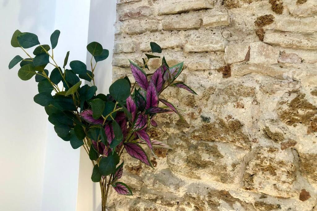 Gatu Premium Villa Libertad, Preferente Mayores De 25 Anos Y Familias Cadix Extérieur photo