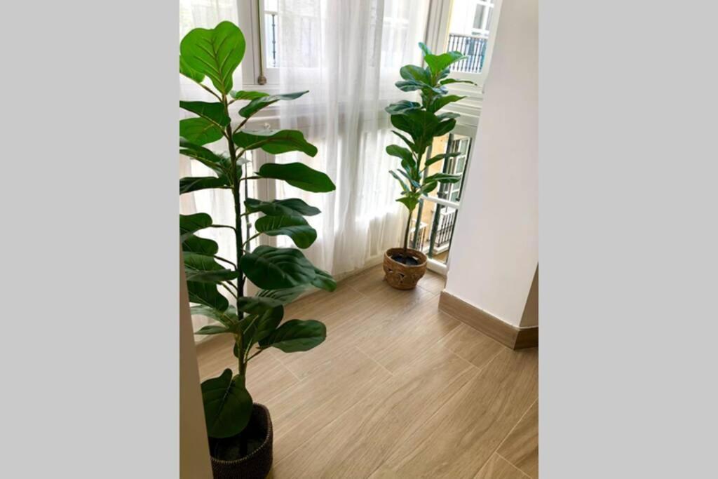 Gatu Premium Villa Libertad, Preferente Mayores De 25 Anos Y Familias Cadix Extérieur photo