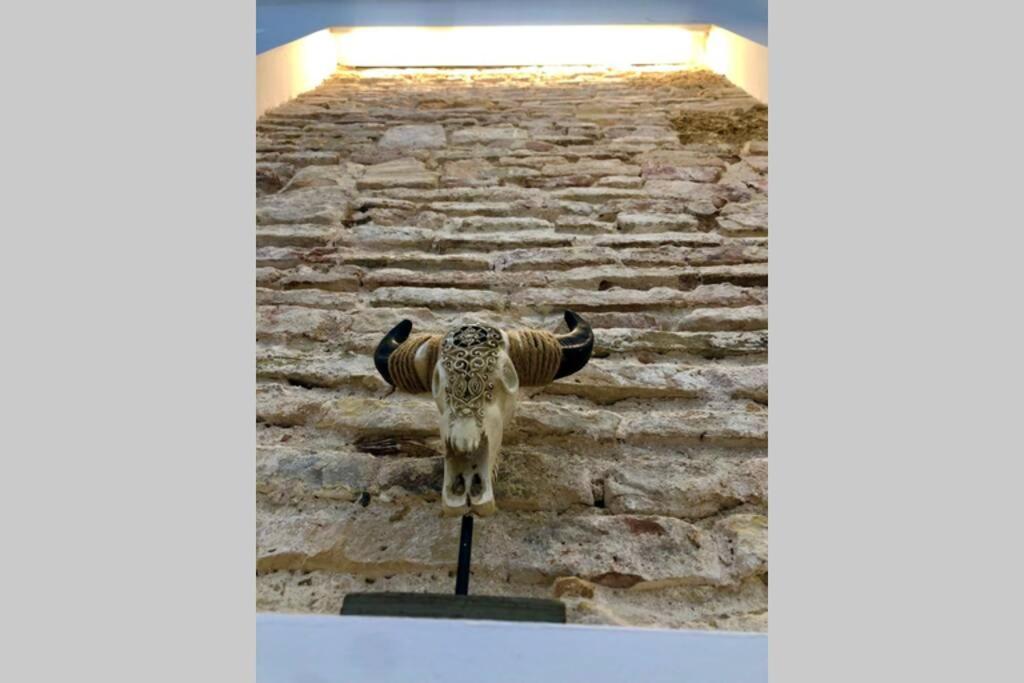 Gatu Premium Villa Libertad, Preferente Mayores De 25 Anos Y Familias Cadix Extérieur photo